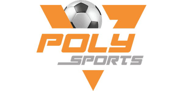 পলি গেম logo